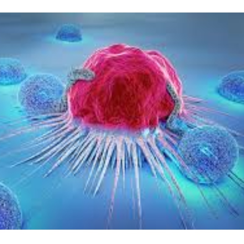 日本：NMNは免疫細胞の老化に抵抗し、71.4％の腫瘍の成長を阻害します